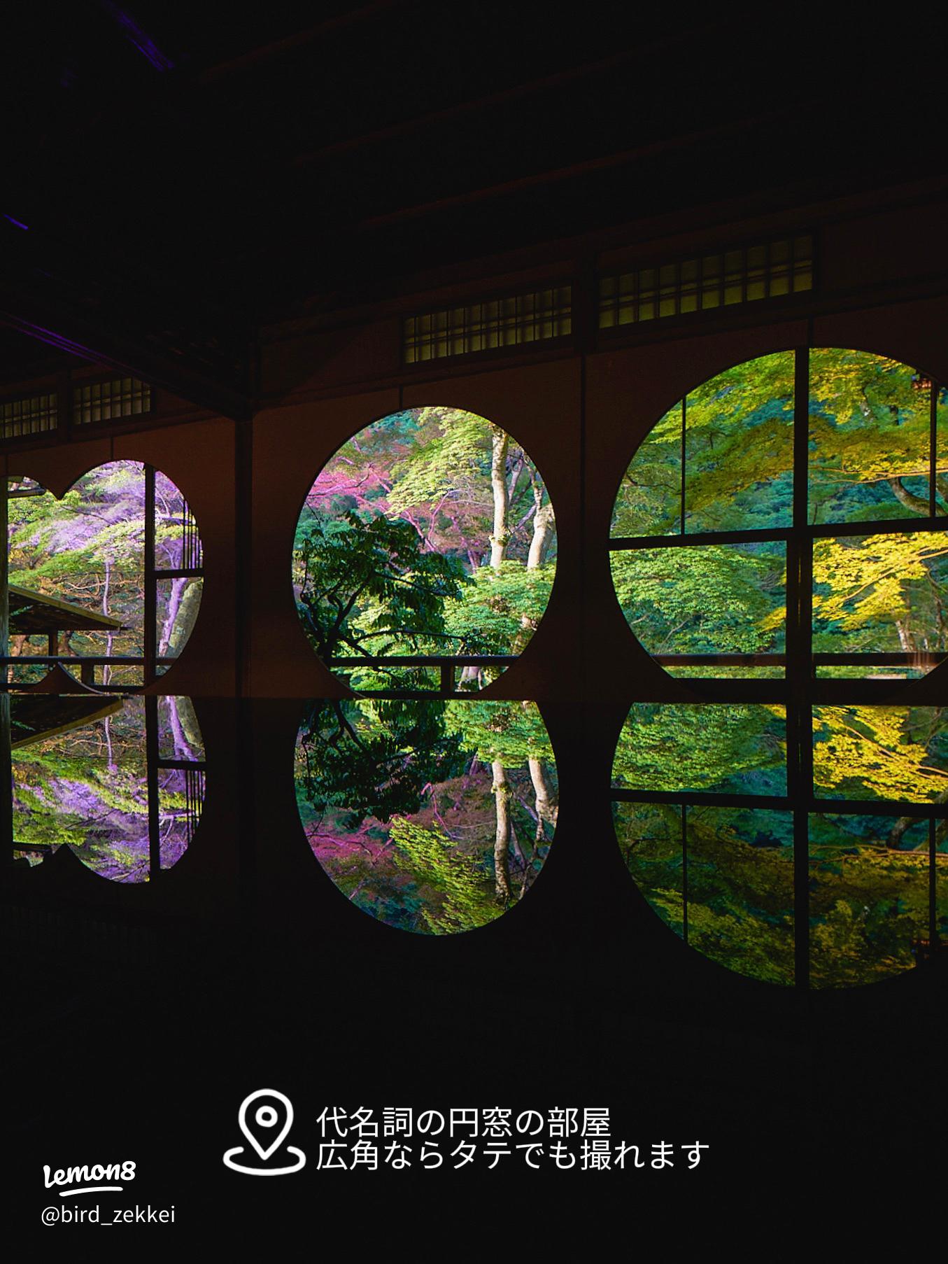 旭川市街地に雲海 夜景・大雪山と競演 動画 ：北海道新聞デジタル