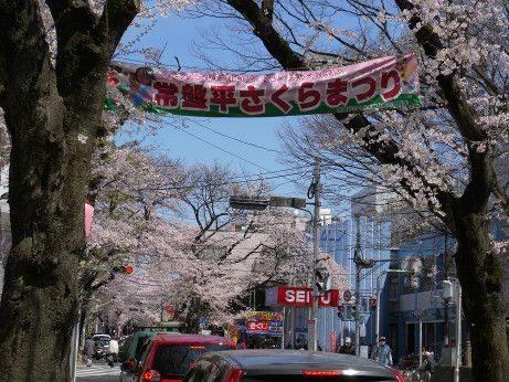 フラージュ常盤平さくら通り千葉県マンションライブラリー by長谷工の仲介