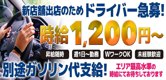 送迎ドライバー Ciel～シェル～ 高収入の風俗男性求人ならFENIX JOB