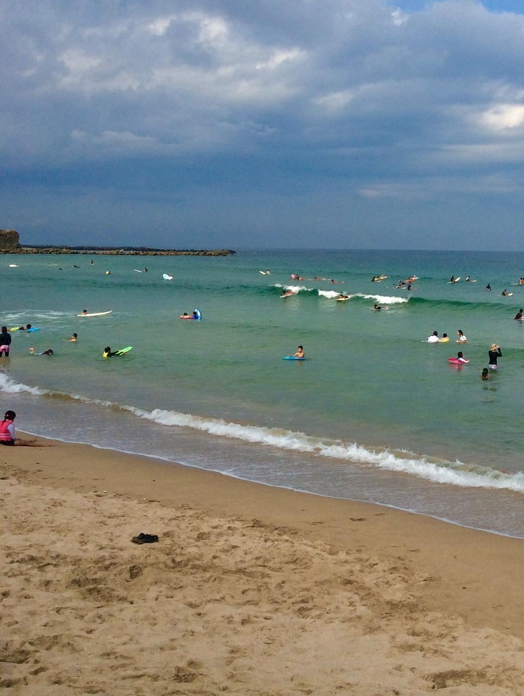 波情報 市後浜 2025