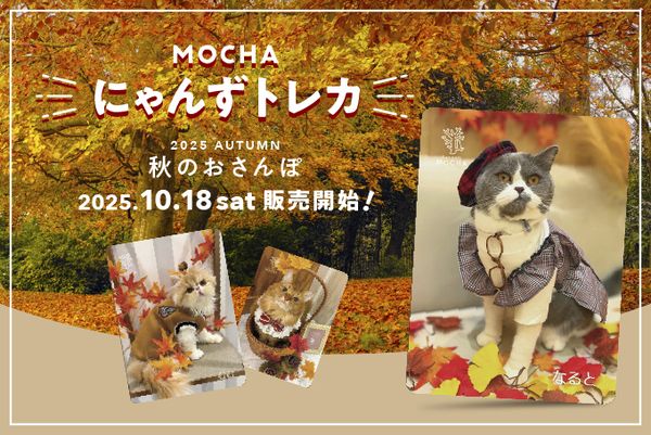 ノリタケのイオン内 猫カフェ MOCHA レポ！ねこのアトリエ