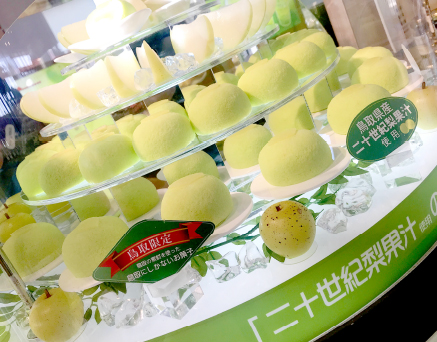 ショップ鳥取砂丘砂丘センター 見晴らしの丘