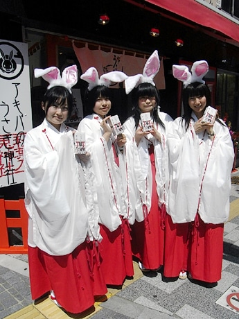 うさぎカフェ】京橋駅徒歩3分！モフモフのうさぎさん達と楽しい1時間♪《おやつ付き》/Mimi Lapin - じゃらん遊び体験