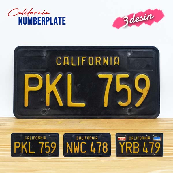 テキサスナンバープレートステッカー Mオリジナル文字入れ無料