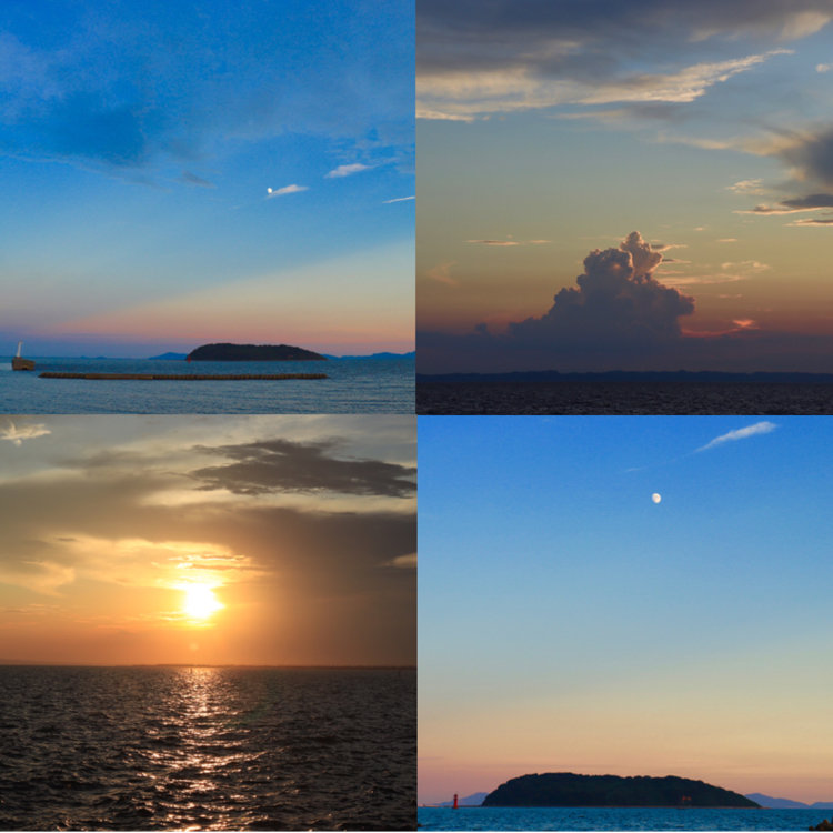 釣り師さん・吉良ワイキキビーチの発見レポ