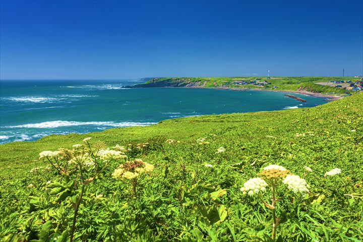 霧多布岬 アソビュー！