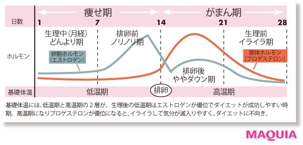 医師解説】生理前に太るのはなぜ？体重増加の原因と対処法をご紹介！ | mederi