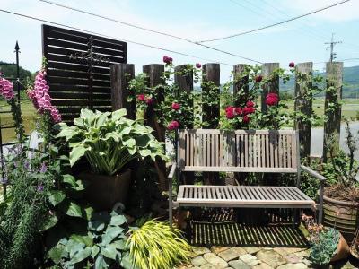 ピーチヒルの薔薇日記 - 楽天ブログ