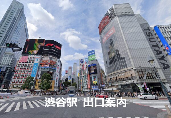 ホーム並列化で利便性アップ～埼京線渋谷駅の新たなスタート - 鉄道コム