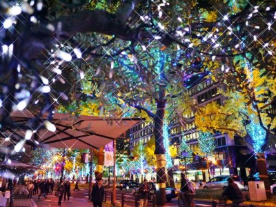 大阪の夜景スポット ～堂島浜タワーからの御堂筋イルミネーション～tropicalisland0405の写真ブログ
