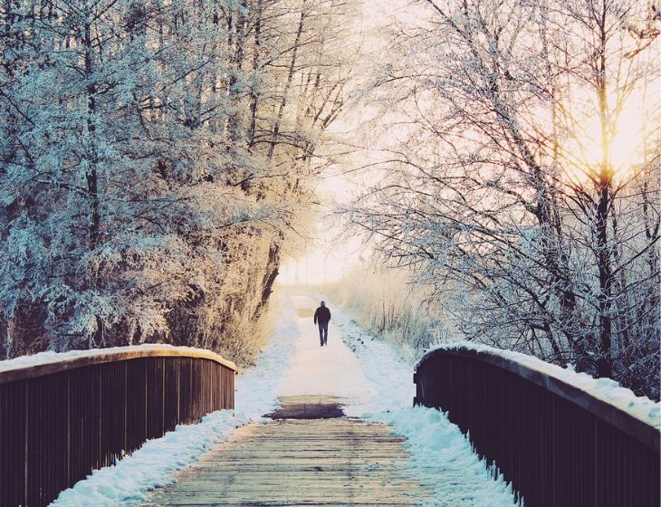絶景！ 埼玉県さいたま市、冬の夜に輝くメタセコイヤと暖色の街灯が織りなす幻想的な風景 ほっとphoto便り