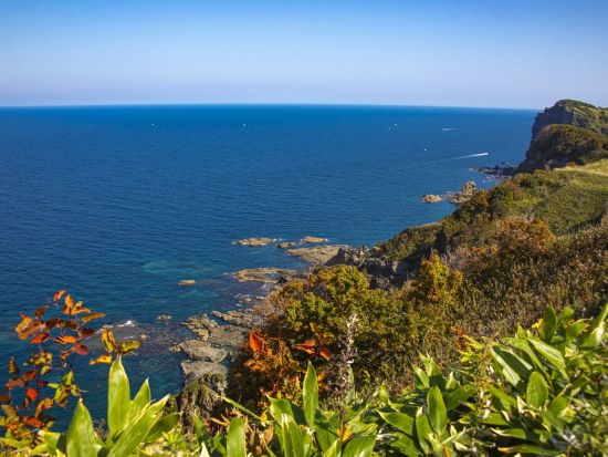 岬ベール 肩トレーン チュール チャペルトレーン