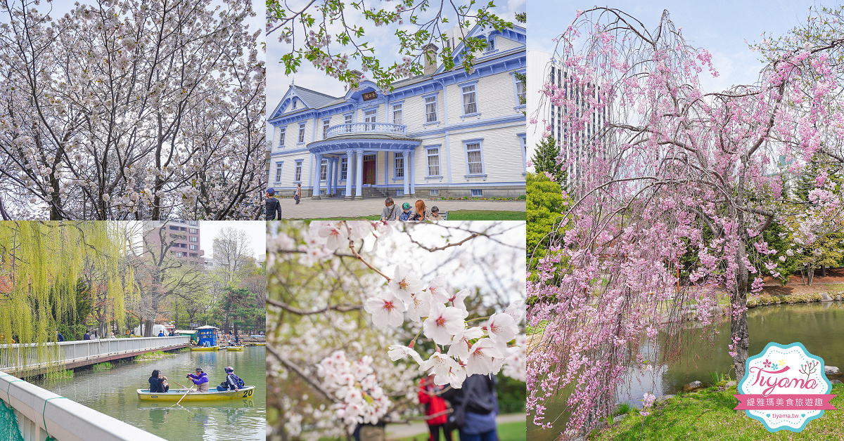 堺正章「日本料理人の誇り感じた」 特番「世界の秘境で日本料理」 -