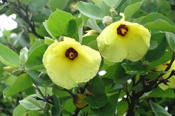 葛西臨海公園③ 蜷川実花ワールド |