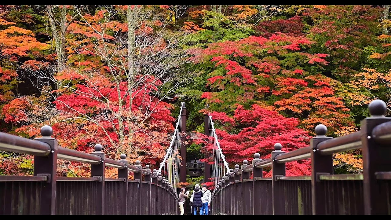 紅の吊り橋那須塩原市のレジャーリビング栃木WEBリビング栃木Web