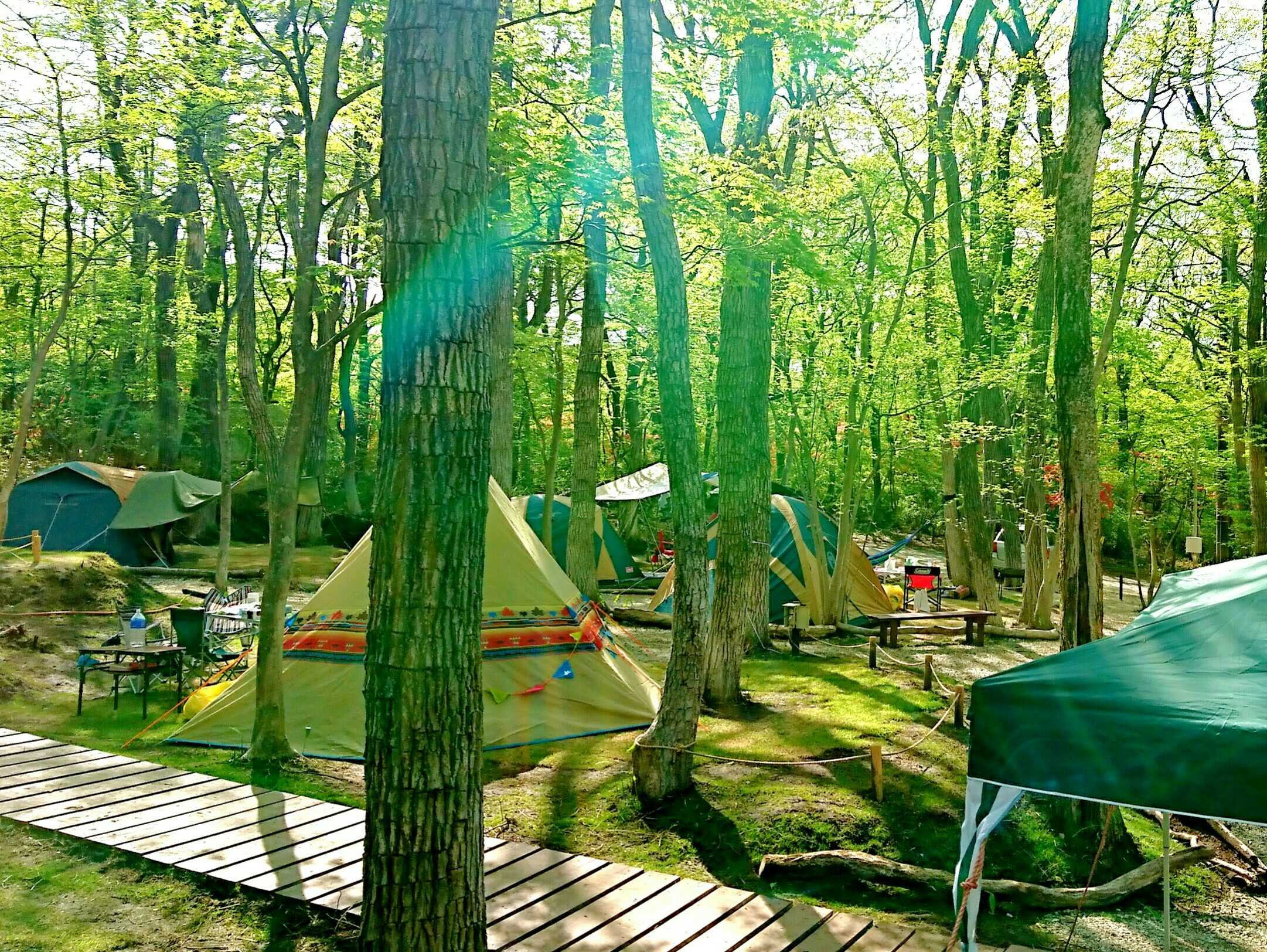 栃木県那須のキャンプ場ならぽんぽこの森ファミリーキャンプ場非日常