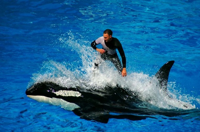 シーワールド・サンディエゴSeaWorld San Diegoサンディエゴ観光ガイド現地情報誌ライトハウス