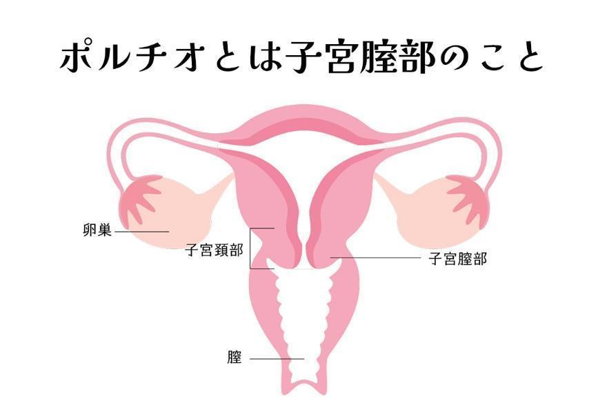 ポルチオとは？開発方法や場所、セックスでの責め方や体位などを徹底解説！｜風じゃマガジン