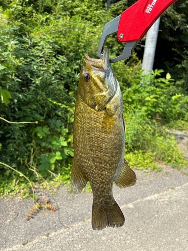 葉山 手漕ぎボート釣りエリアの攻略法 キス編Tottsuの２人乗りカヤックでフィッシング