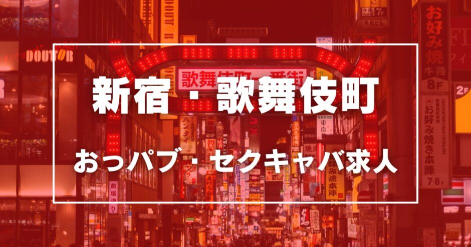 新橋・銀座のガチで稼げるおっパブ・セクキャバ求人まとめ【東京】 | ザウパー風俗求人