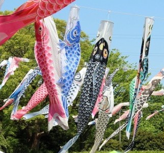 泳げ！1200匹のこいのぼり ～ 相模川高田橋』相模原 神奈川県