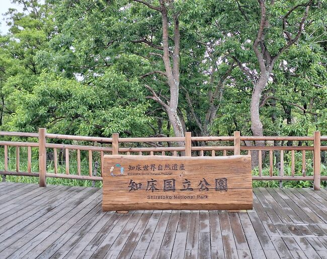 世界遺産知床2泊3日大自然と野生動物に会える感動体験ツアー 東京発北海道旅行・北海道ツアーを予約するならJALで行く格安旅行のジェイトリップ