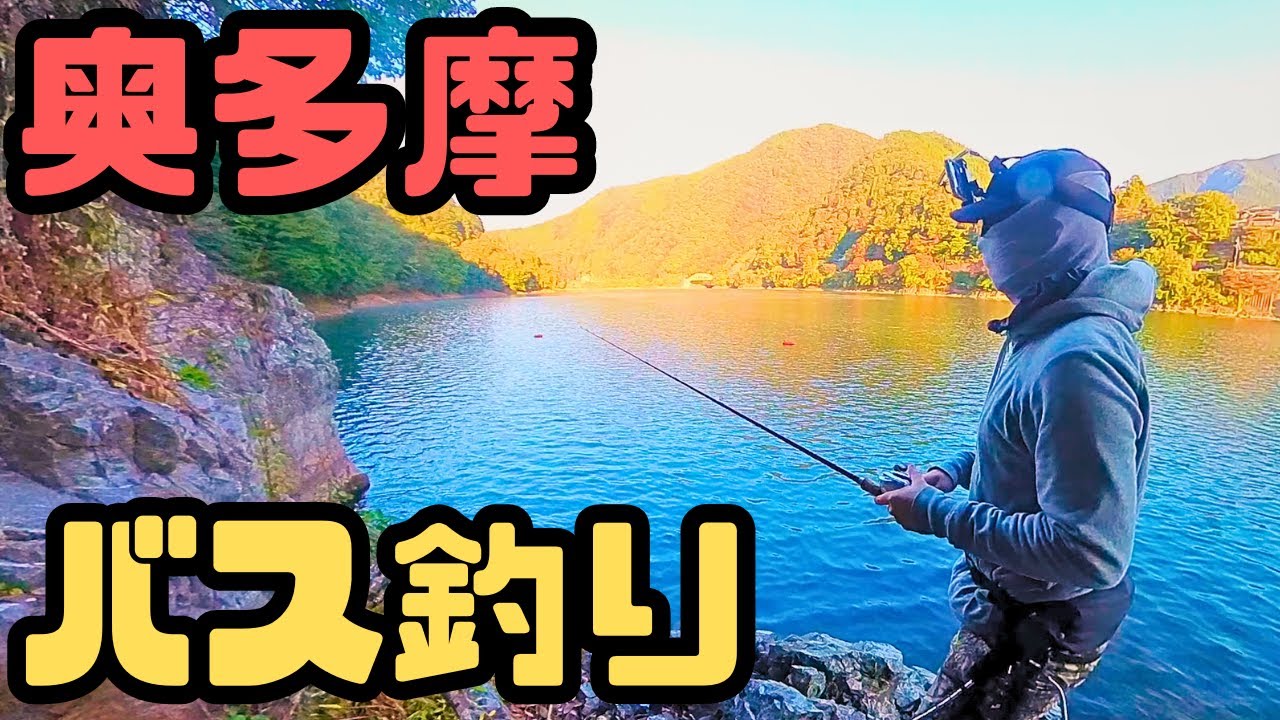 ゴジラ”オイカワ退治 本命バスは不発だったけど 奥多摩湖 - スポニチ