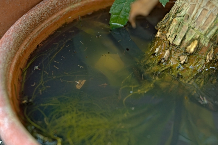 お風呂・浴室の排水溝つまり原因を簡単に解決修理できる方法を解説します。