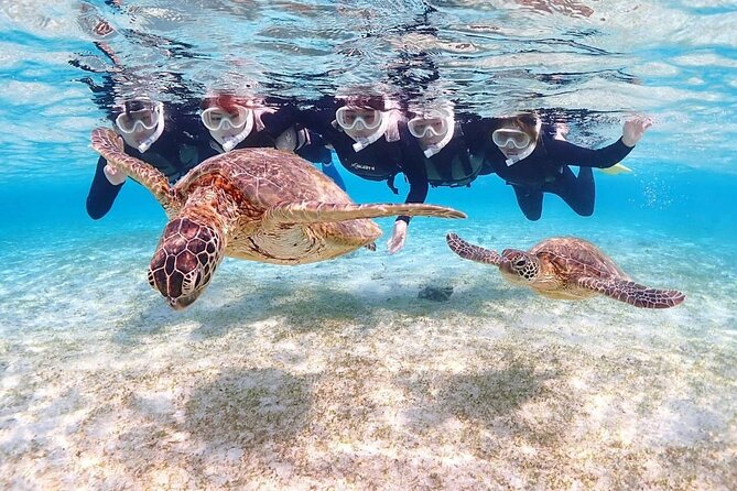 雨がふったらシュノーケルに宮古島シュノーケル専門店 海umi