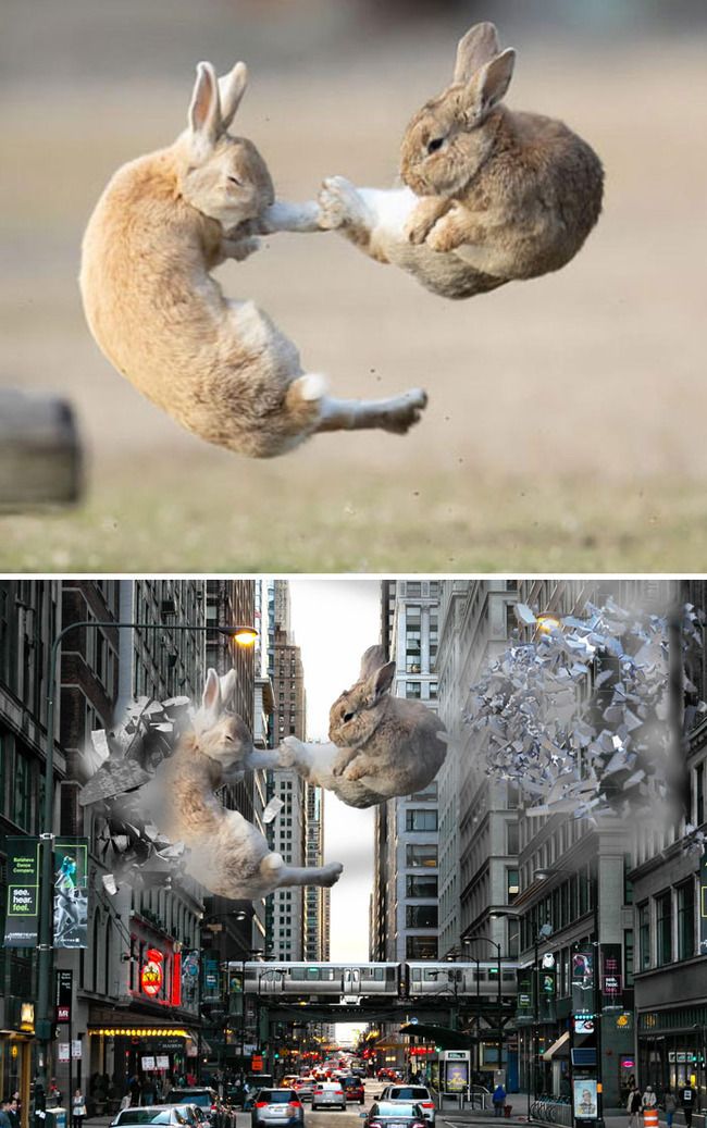 おもしろGIFアニメ集 Vol.57 計285個asologyアソロジー