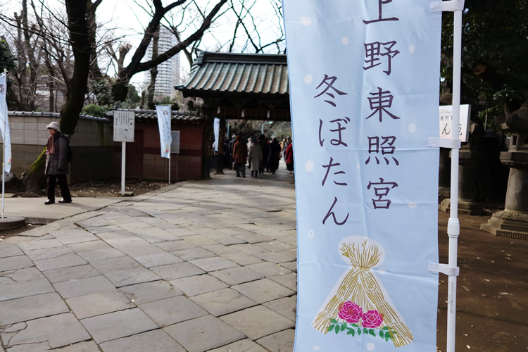 今が見頃♪遅咲き牡丹も美しい！上野東照宮ぼたん苑の「春のぼたん祭」株式会社オマツリジャパン