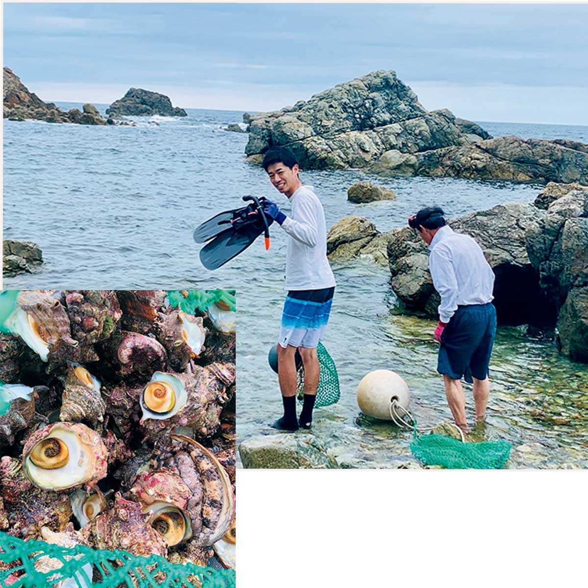 車なしでも楽しめる！カップル・女子・一人旅などにおすすめな旅行先夜行・高速バスでの国内旅行・観光のメディア：トラベルブックマークジャーナル