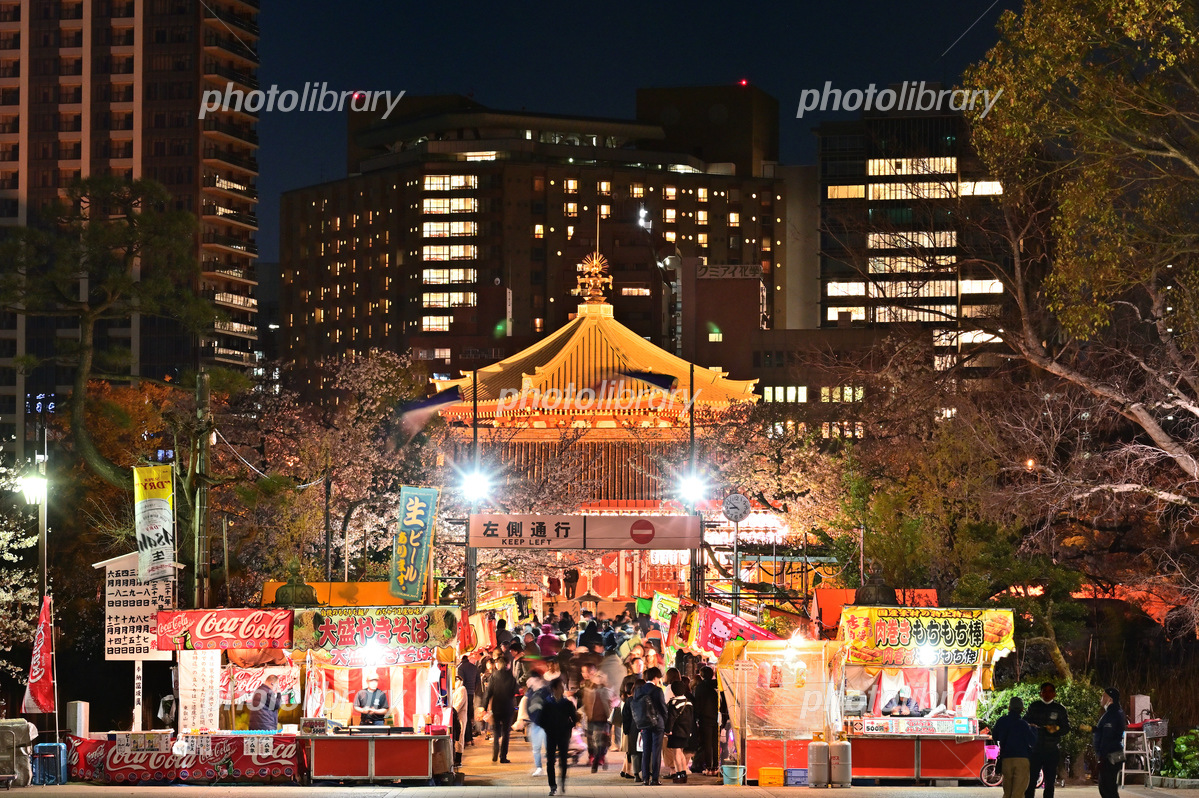 上野公園 うえの桜まつり - 東京都台東区
