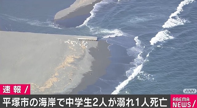 中学生が「ハマヒルガオ」再生へ 苗の移植手伝い募集話題カナロコ by 神奈川新聞