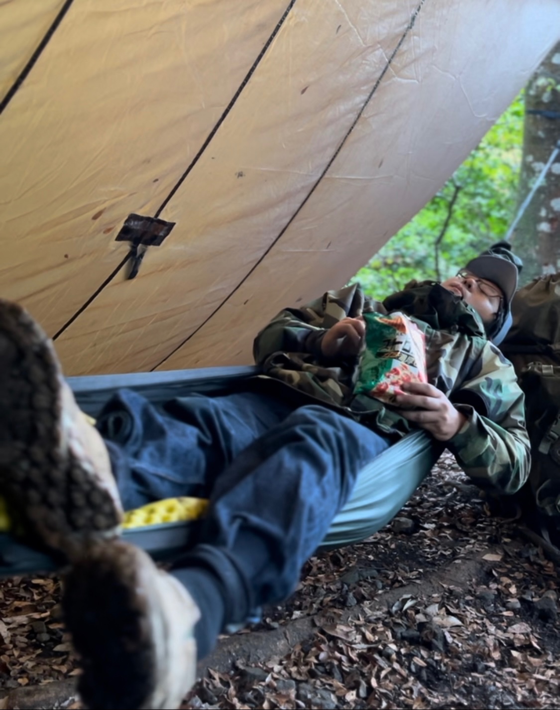 関西の愛犬と泊まれるキャンプ場15選 犬連れできるペット同伴OKのキャンプ場を紹介ペトコト PETOKOTO