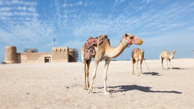 砂漠のバラをモチーフとした、カタールの文化を語り継ぐジャン・ヌーヴェルの建築「カタール国立博物館」 -casa