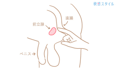 女性の「潮吹き」と「女性の射精」の明確の違いについて - 美容外科｜船橋中央クリニック&青山セレスクリニック