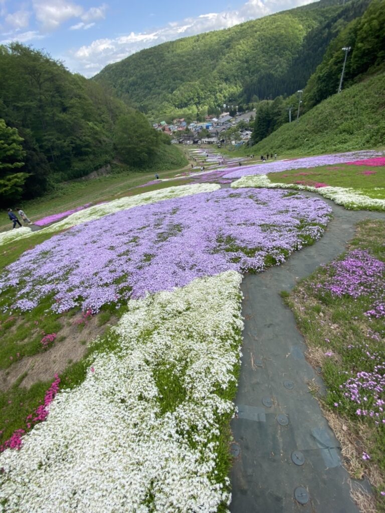 十和田市スキー協会