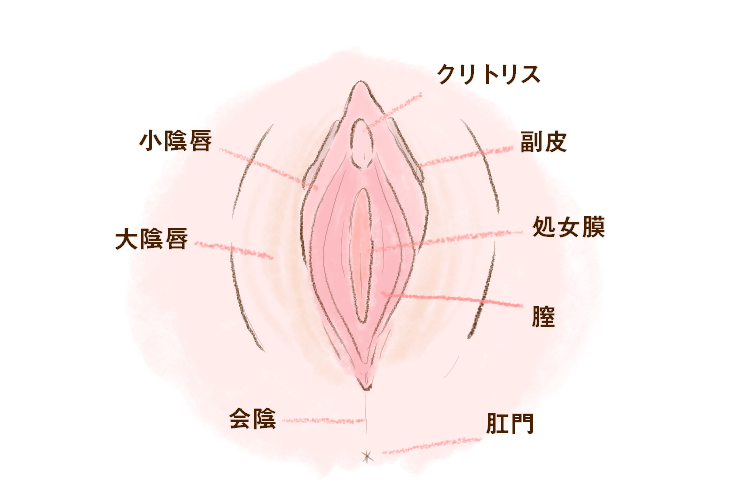 正しいクリトリスの触り方！過去イチの男と言わせる簡単テクも紹介｜駅ちか！風俗雑記帳