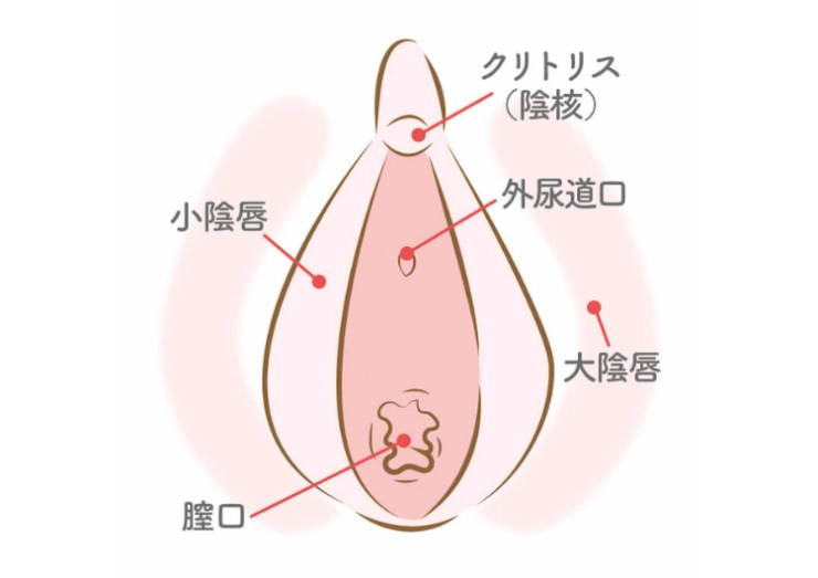 クリイキとは？オナニーで感覚を覚えてオーガズムを感じやすい体になる方法