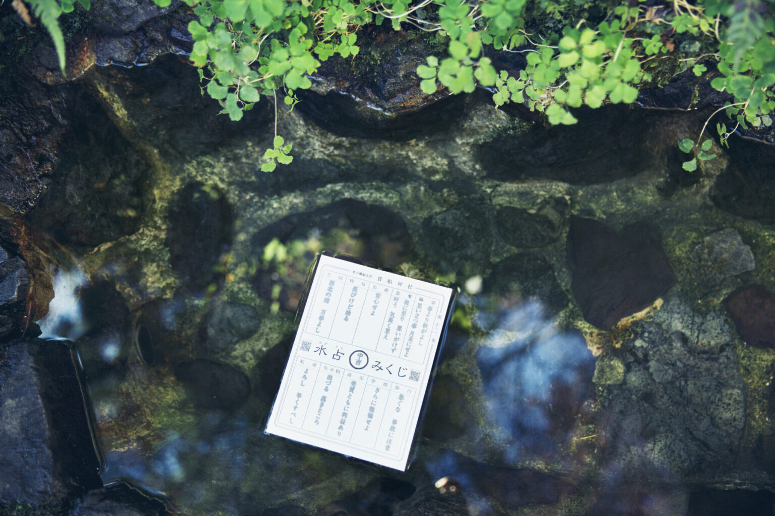 京都貴船神社の水占みくじshorts貴船神社京都京都観光京都旅行kyototrip水占みくじ