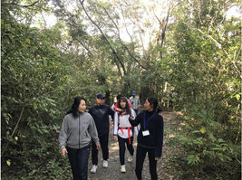 鹿児島・奄美世界自然遺産・奄美・金作原原生林散策＆絶景ビーチ・半日ツアー・少人数制楽天トラベル 観光体験