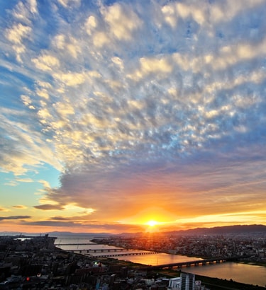 みっち🍋‍🟩🧑‍🦯 on X: 