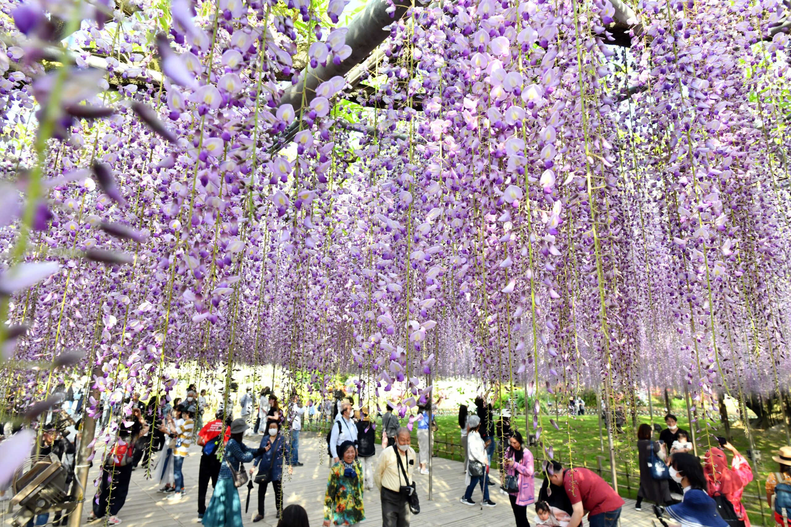 2024年 ゴールデンウィークの関東おすすめ穴場スポット特集Smartlog