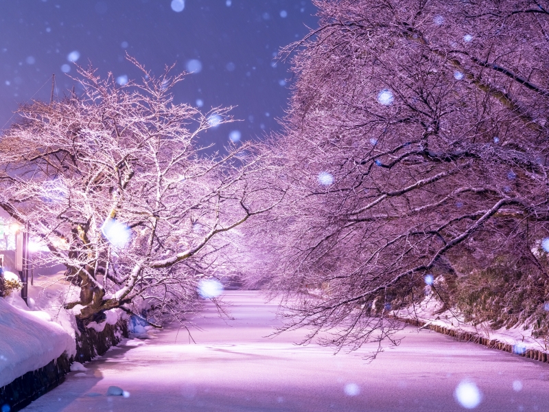 冬に訪れたい東北の観光スポット10選 白銀の絶景が凄い！トラベルjp 旅行ガイド