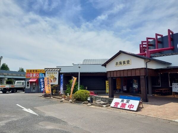 よってみっぺ!!さか天パークの海鮮丼を調査30年間、海なし県に住んでいたけど、海まで徒歩5分のところに引っ越した