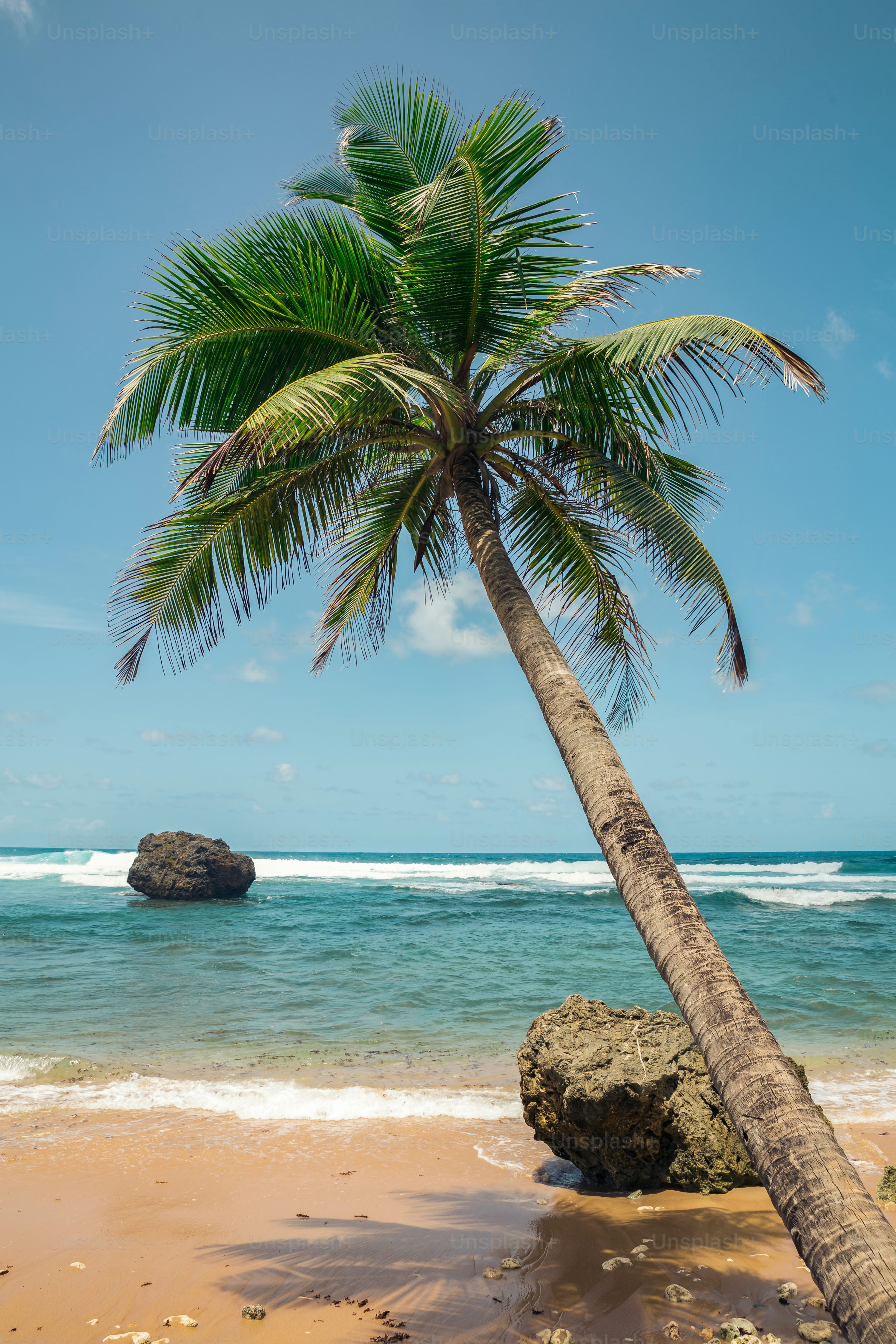 1200000以上の無料ハワイのビーチ&ハワイ画像 - Pixabay