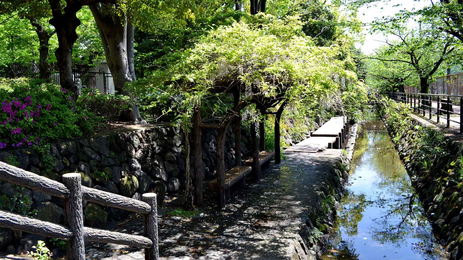 リラクゼーション 花の心 武蔵小杉に関するサロン 天使の艶肌