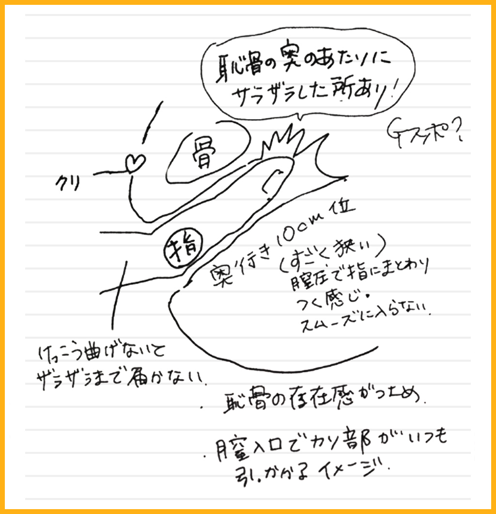 ポルチオとは？産婦人科専門医の丹羽咲江医師が子宮腟部を徹底解説します。 | 腟ペディア