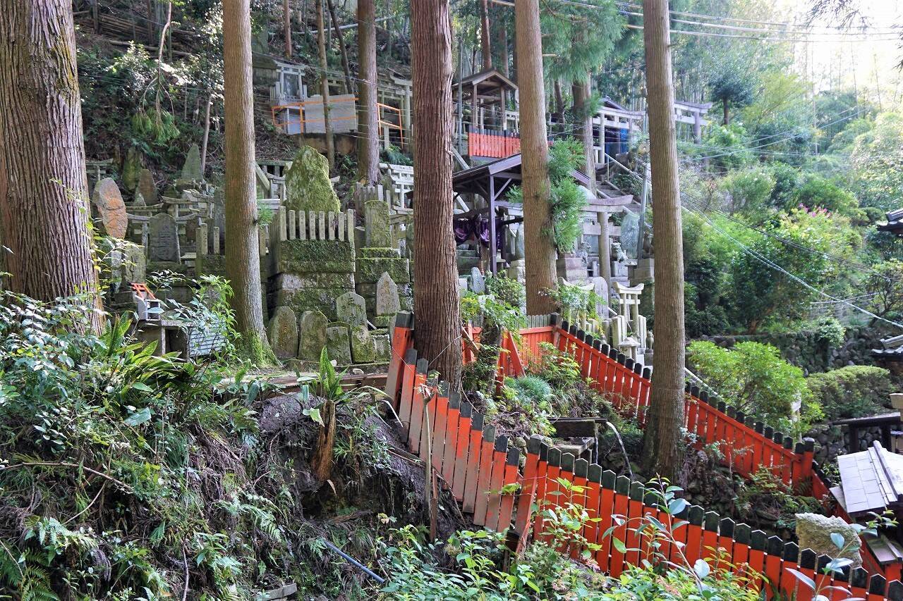 千本鳥居でお馴染み！ 伏見稲荷大社の見どころ・楽しみ方そうだ 京都、行こう